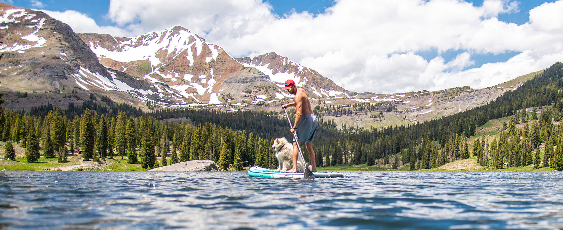The Best Paddle Boards for Dogs 2023