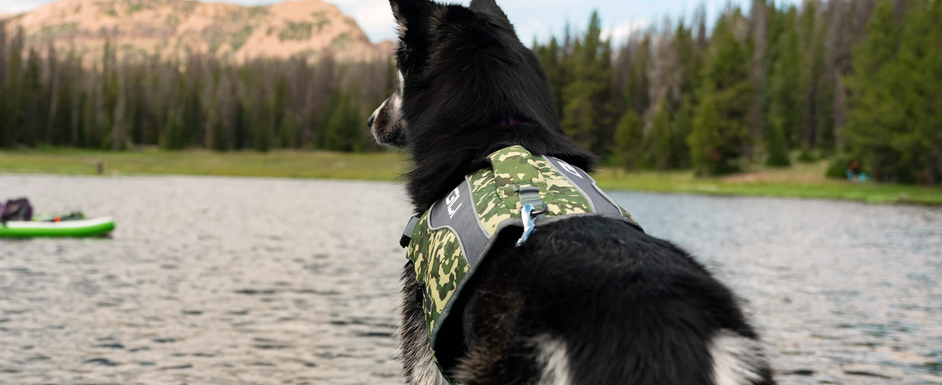 Life jacket clearance for german shepherd